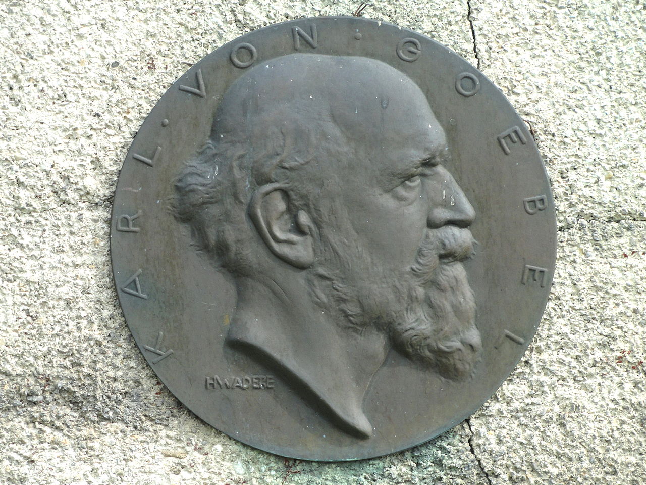 colleague: Karl von Goebel