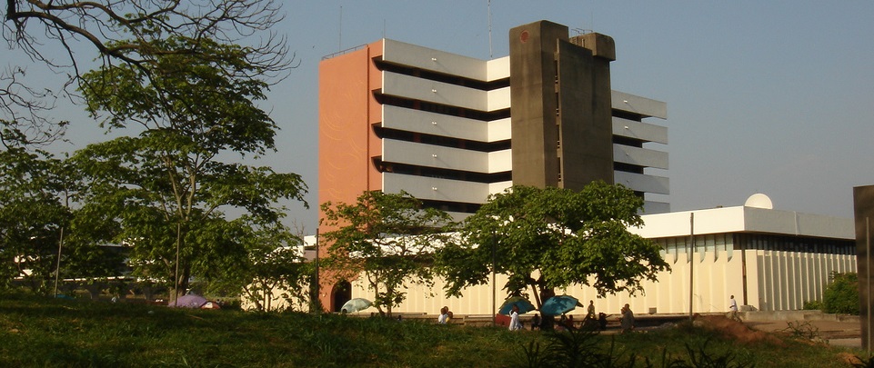 Gallery of Osonye Onwueme