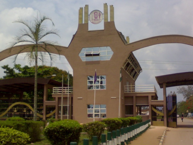 Gallery of Osonye Onwueme