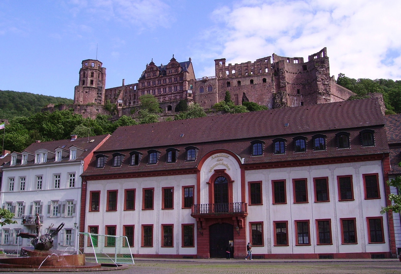 Heidelberg Academy of Sciences and Humanities