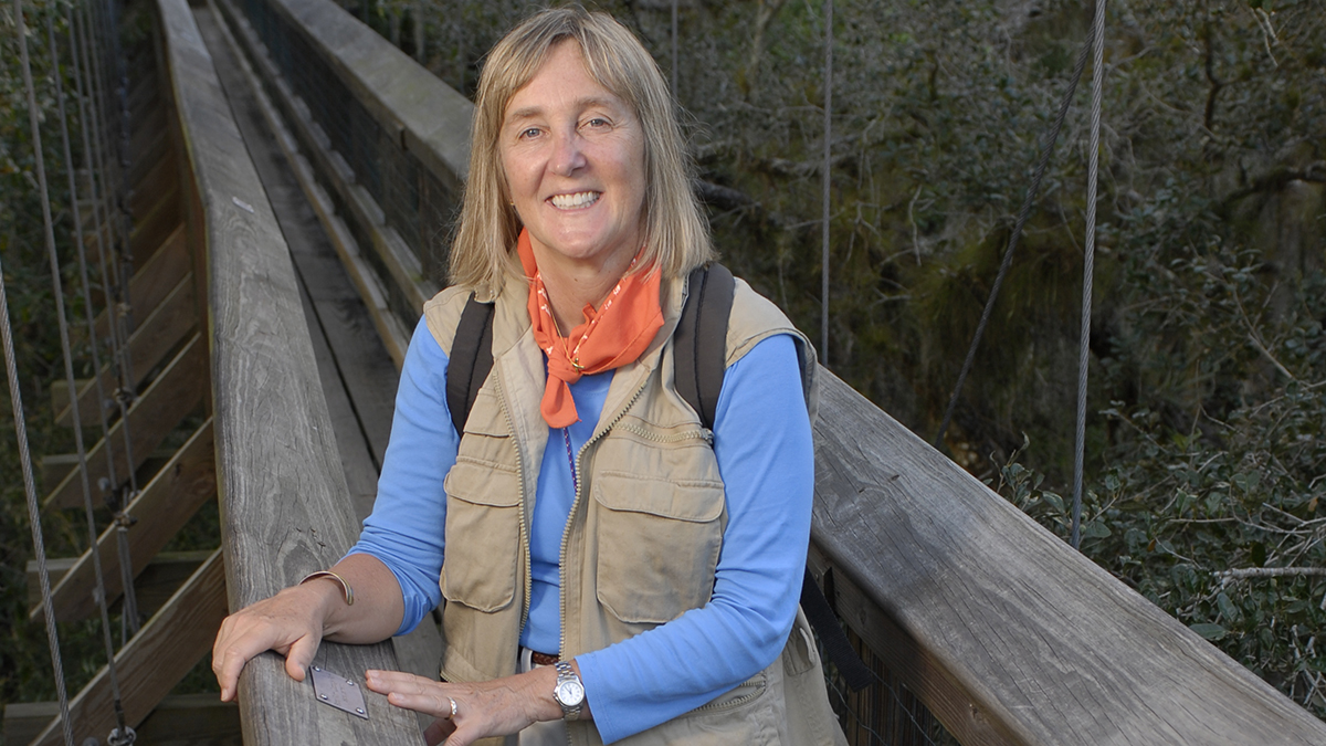 Gallery of Margaret Lowman