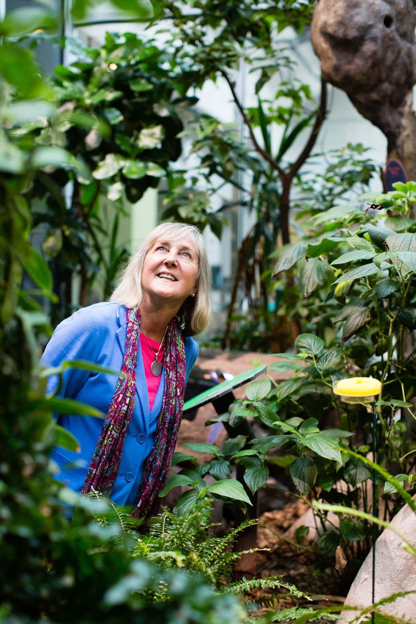 Gallery of Margaret Lowman