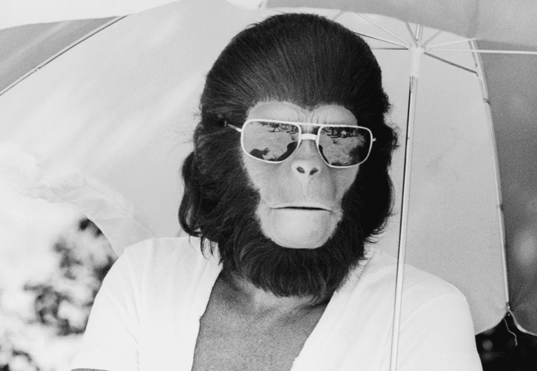 Gallery of Roddy McDowall