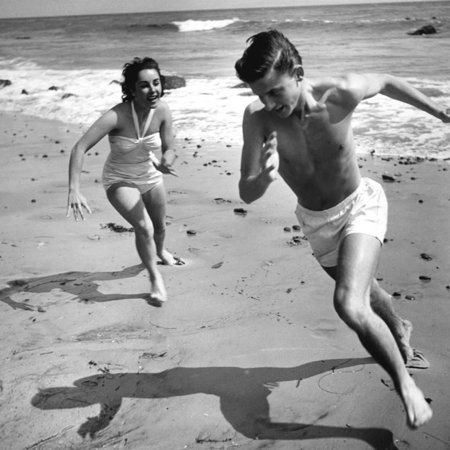 Gallery of Roddy McDowall