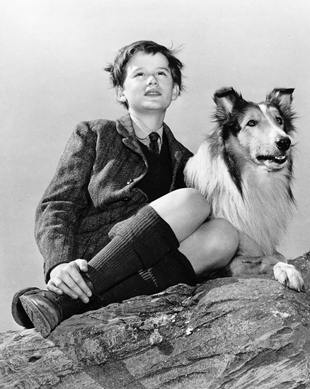 Gallery of Roddy McDowall