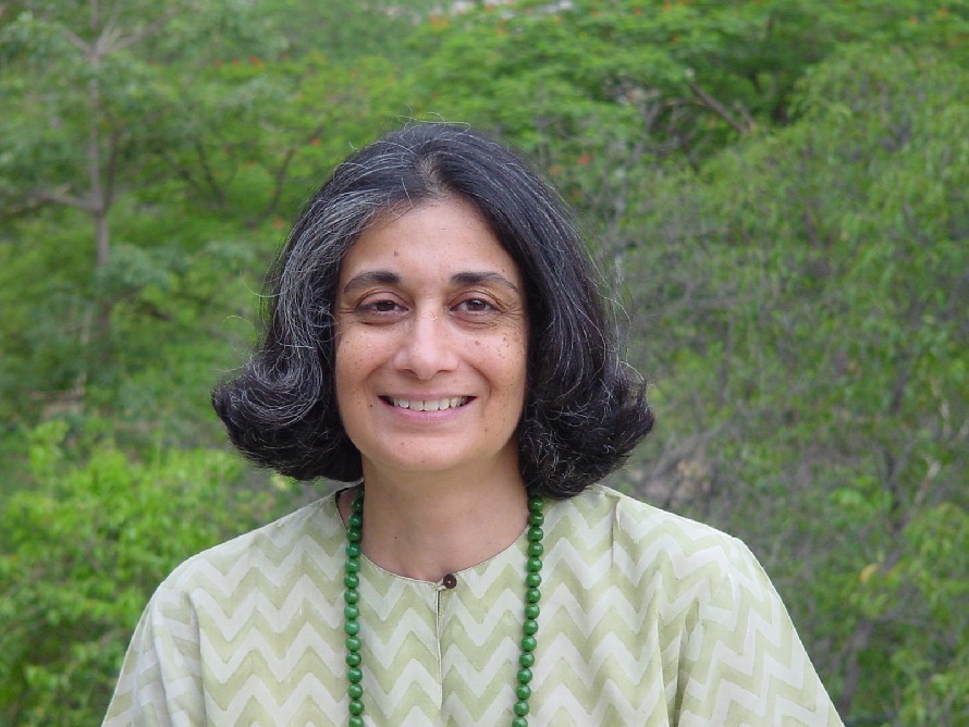 colleague: Ritu Menon