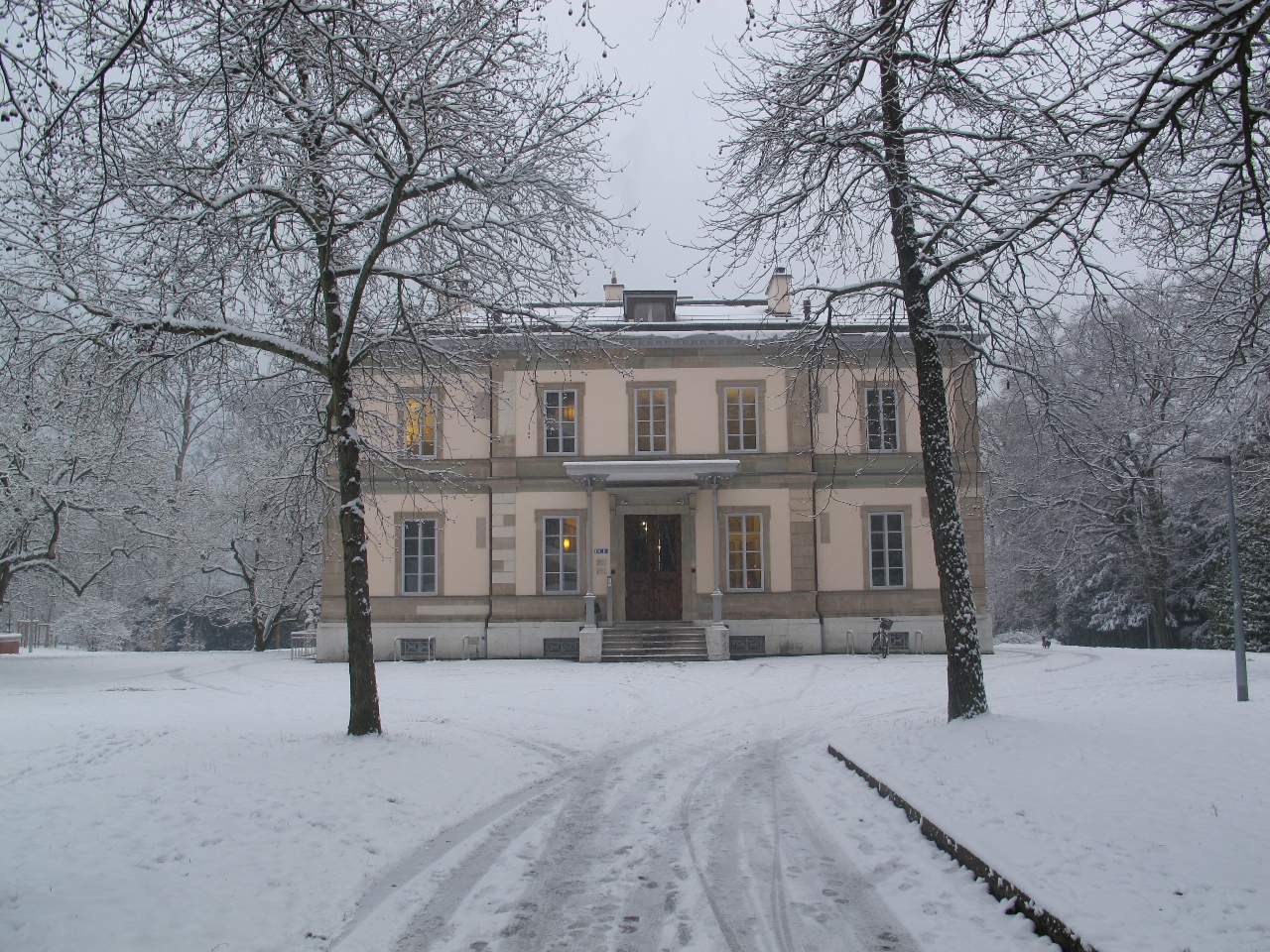 Gallery of Augustin Candolle