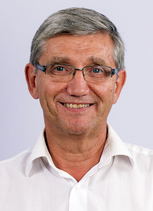 Denis Monière
