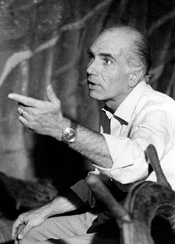 colleague: Luigi Comencini