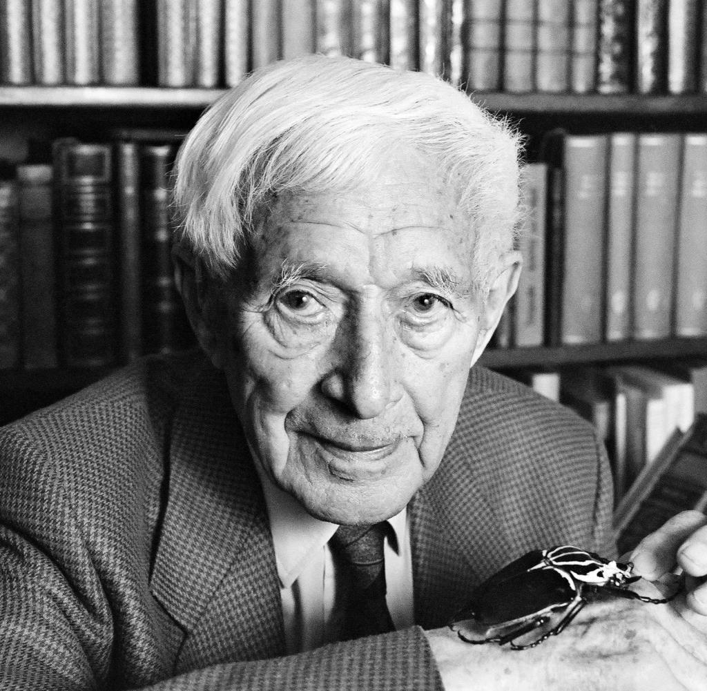Ernst Jünger
