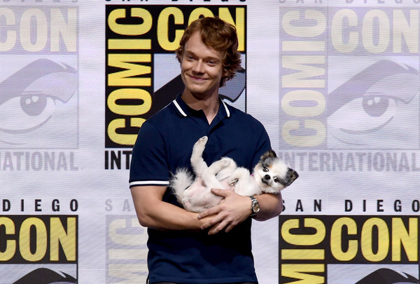 Gallery of Alfie Allen