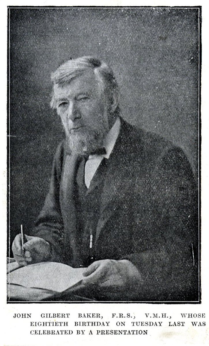Gallery of John Baker
