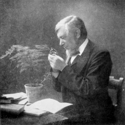 Gallery of John Baker