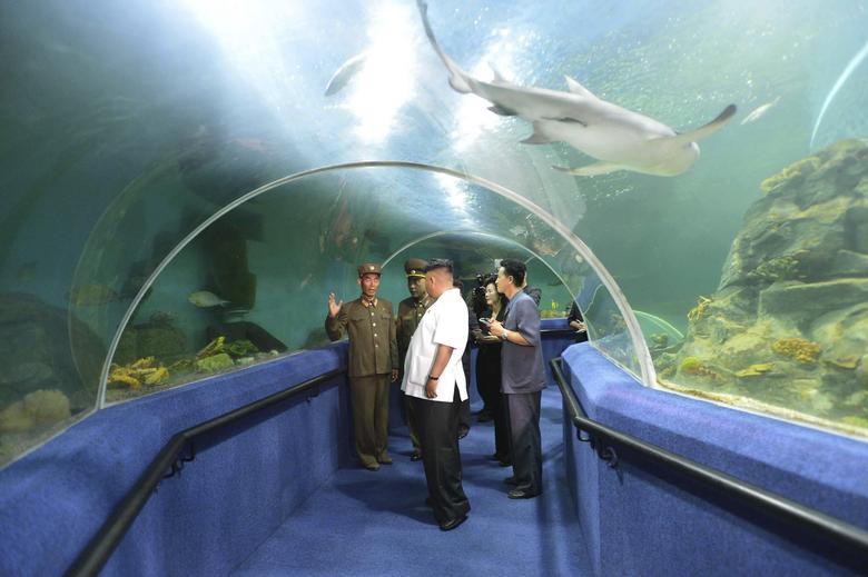 Gallery of Kim Jong-un
