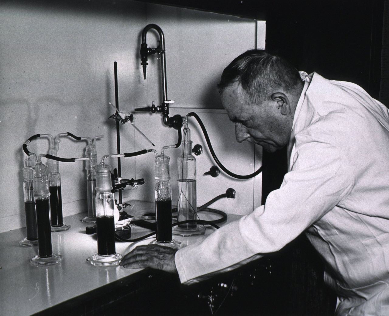 Gallery of Otto Warburg