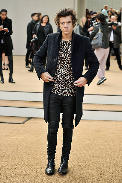 Gallery of Harry Styles