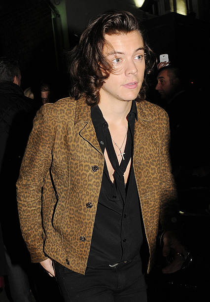 Gallery of Harry Styles