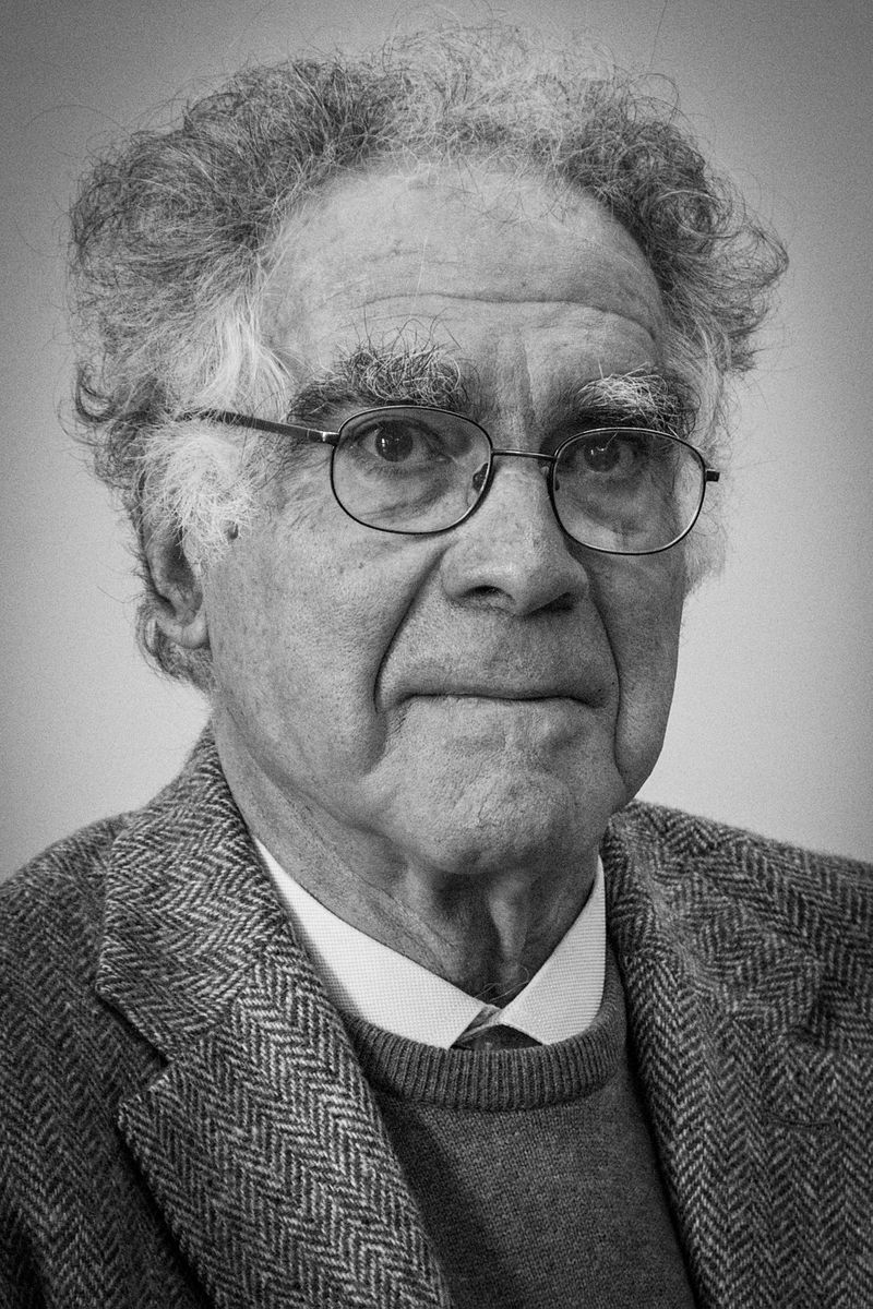 Son: Carlo Ginzburg