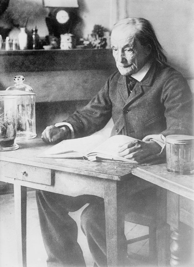 Gallery of Jean-Henri Fabre