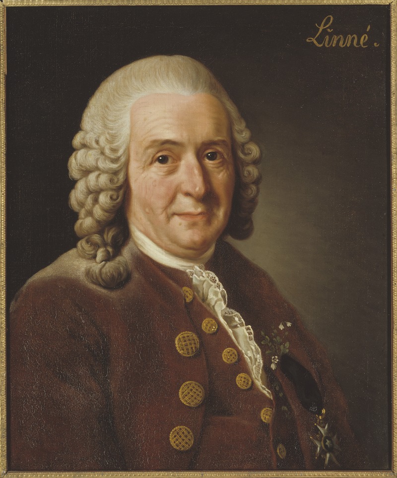teacher: Carl Linnaeus
