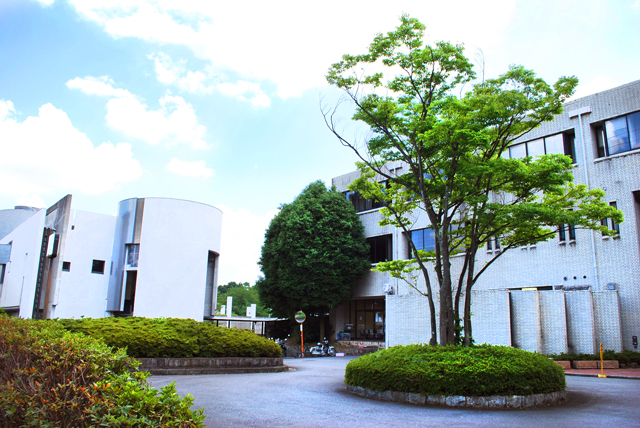 Gallery of Teppei Kaneuji