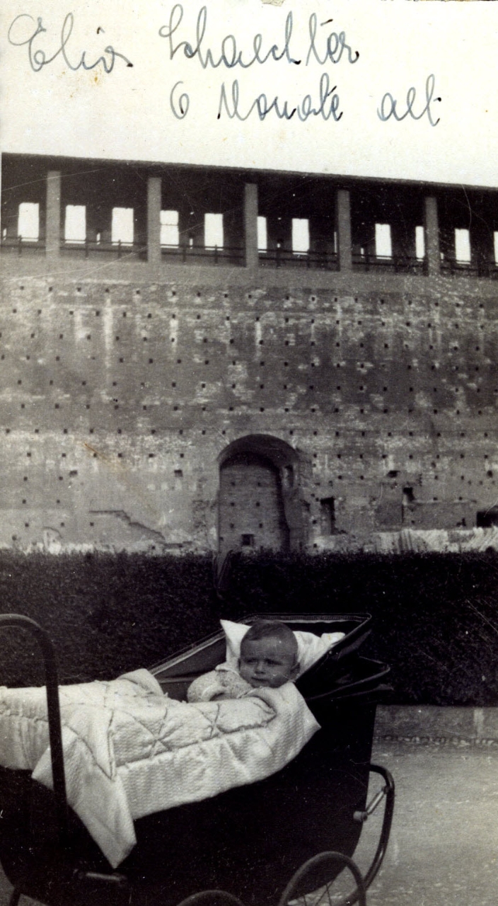 Gallery of Moselio Schaechter