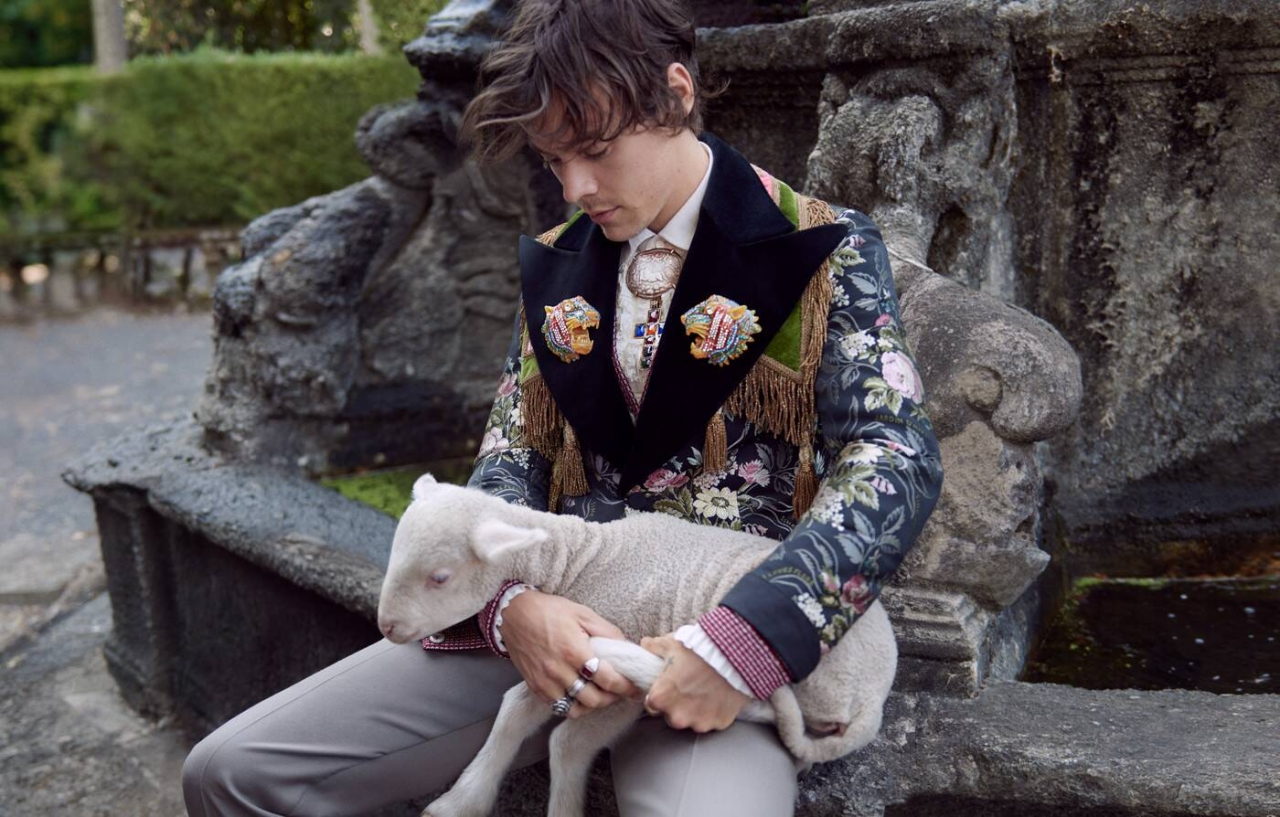 Gallery of Harry Styles