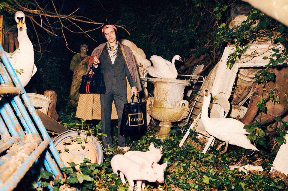 Gallery of Harry Styles