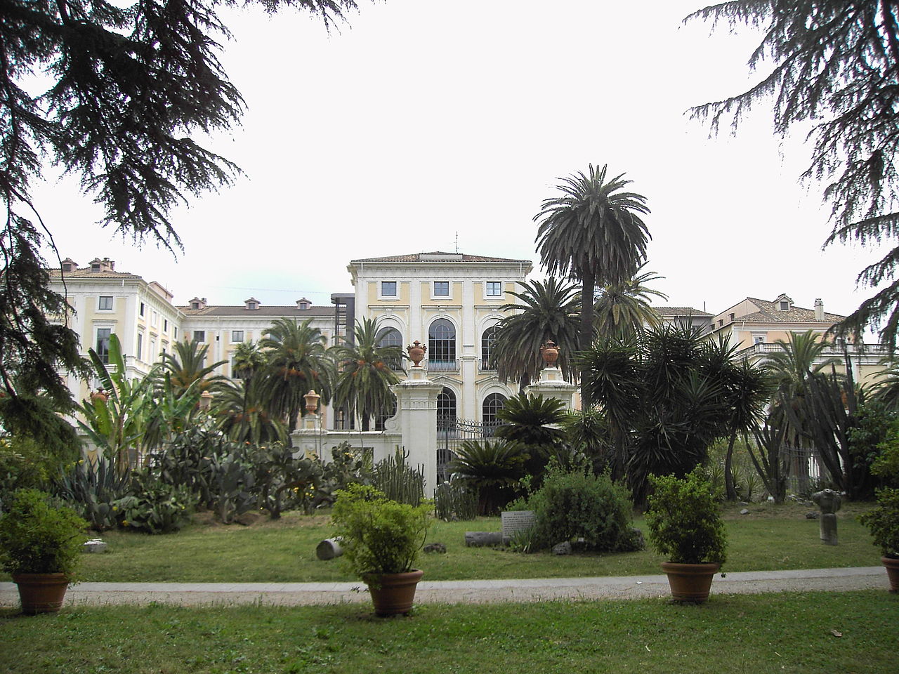 Accademia dei Lincei