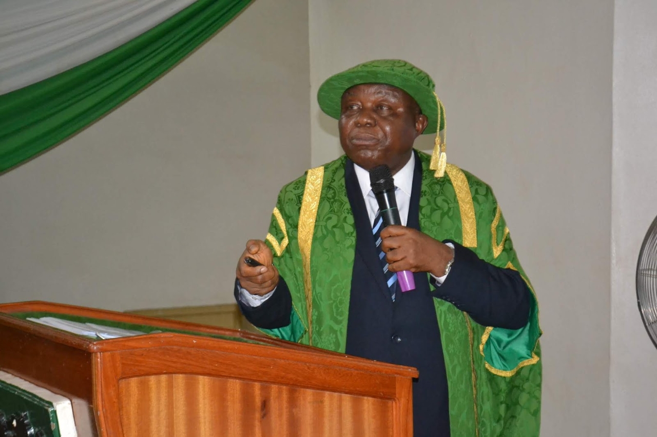 Gallery of Charles Igwe
