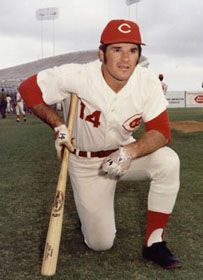 Gallery of Peter Rose