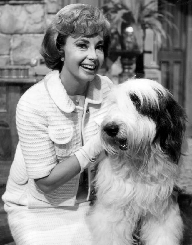Gallery of Audrey Meadows