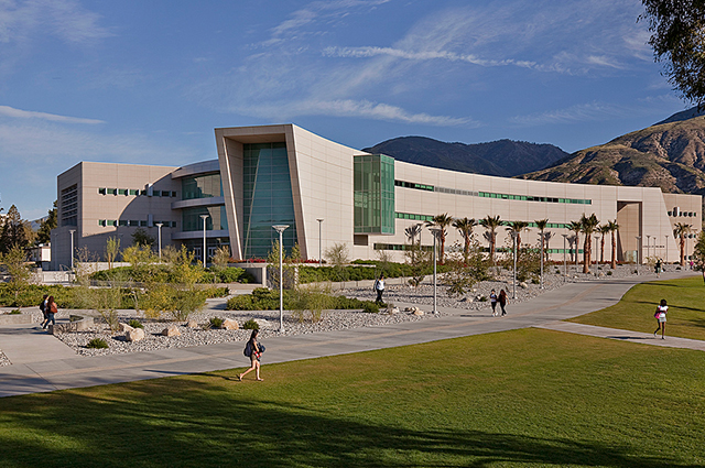 Education period of Michael Reaves in California State University