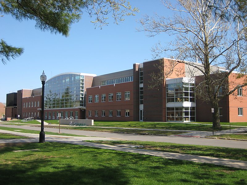 Gallery of Lynn Parsons
