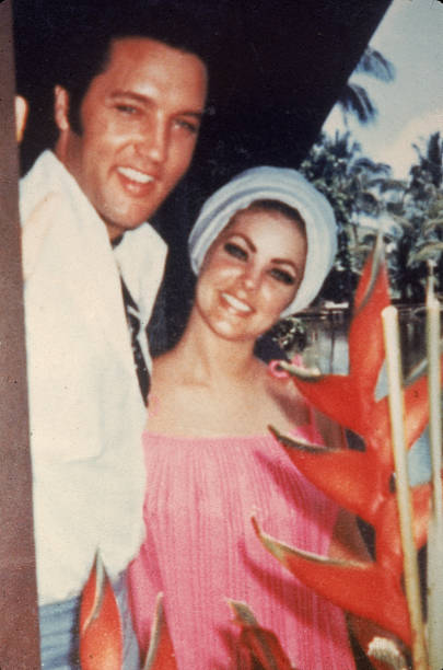 Gallery of Priscilla Presley