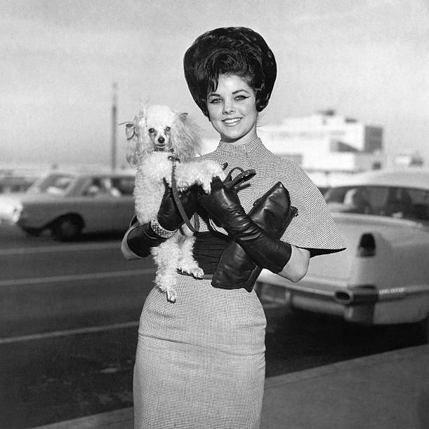 Gallery of Priscilla Presley