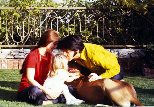Gallery of Priscilla Presley