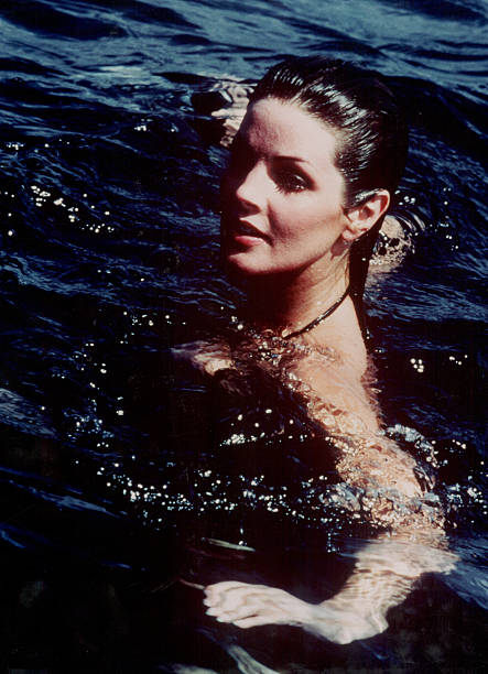 Gallery of Priscilla Presley