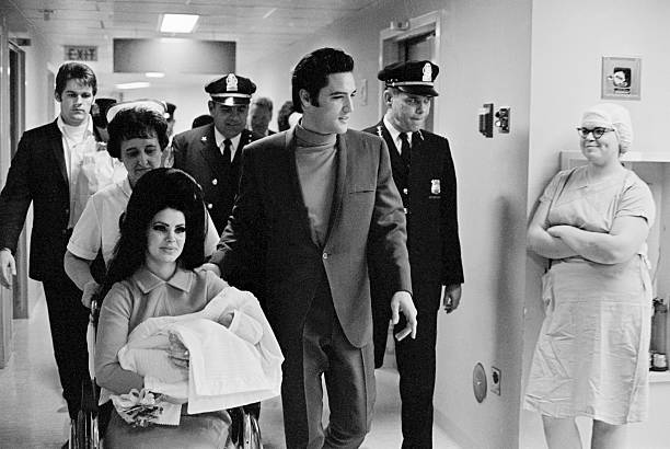Gallery of Priscilla Presley