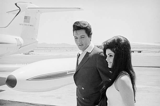 Gallery of Priscilla Presley