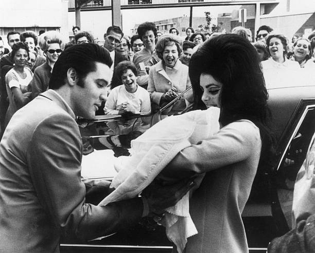 Gallery of Priscilla Presley