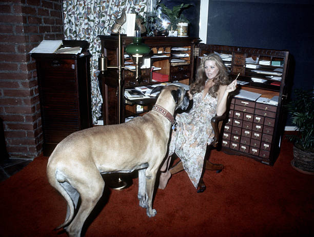 Gallery of Priscilla Presley
