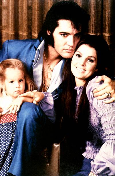 Gallery of Priscilla Presley