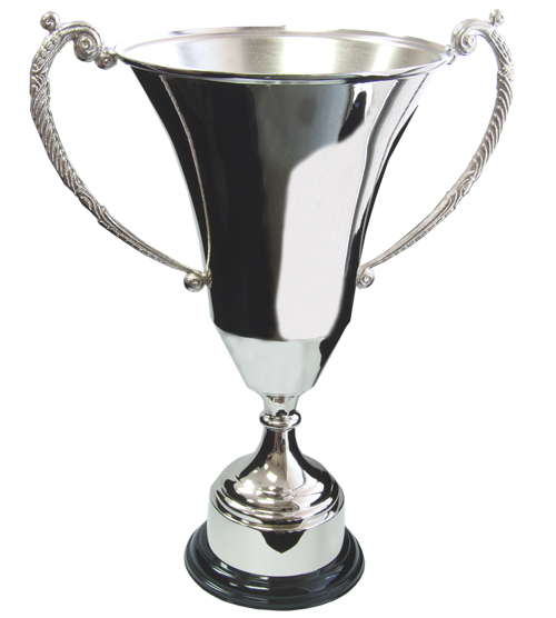 Silver Iris Award