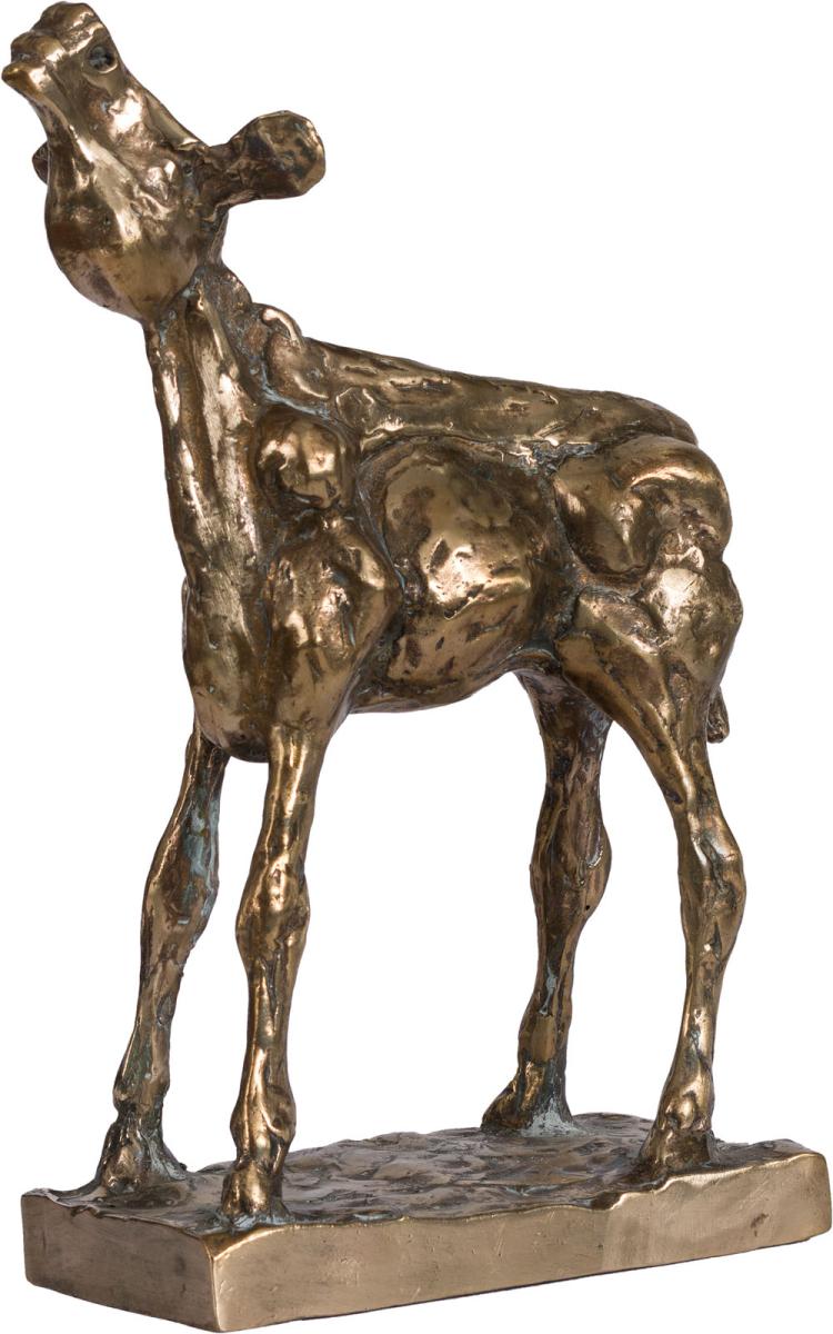 Golden Calf Award