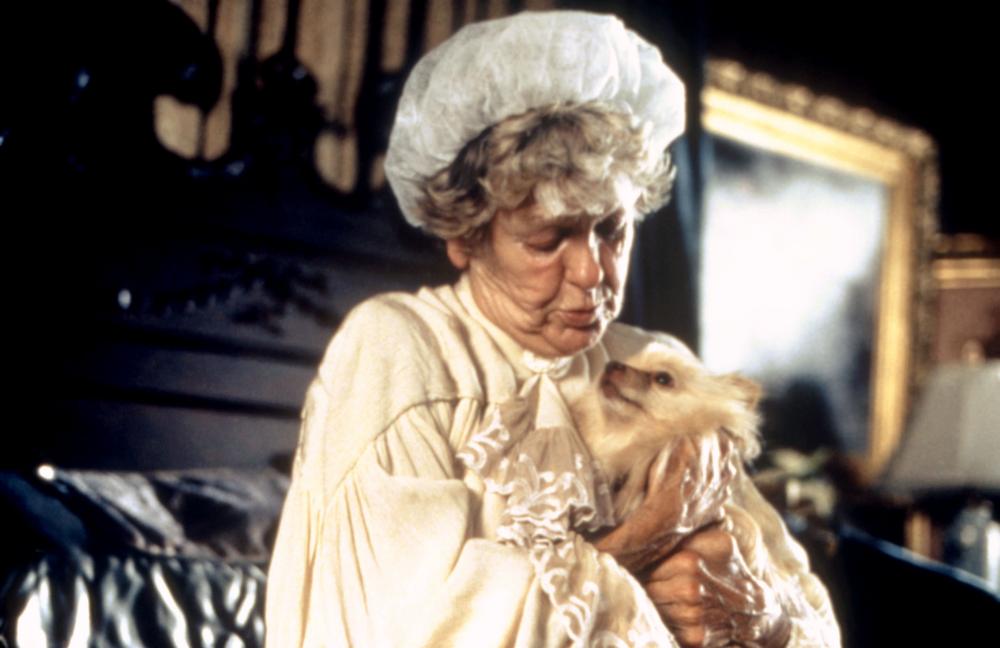 Gallery of Elaine Stritch