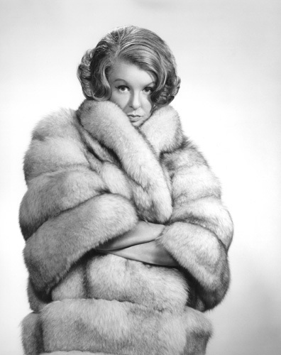 Gallery of Elaine Stritch