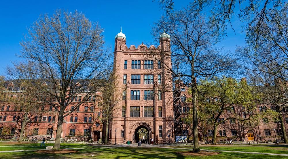 Education period of Rebecca Walker in Yale University