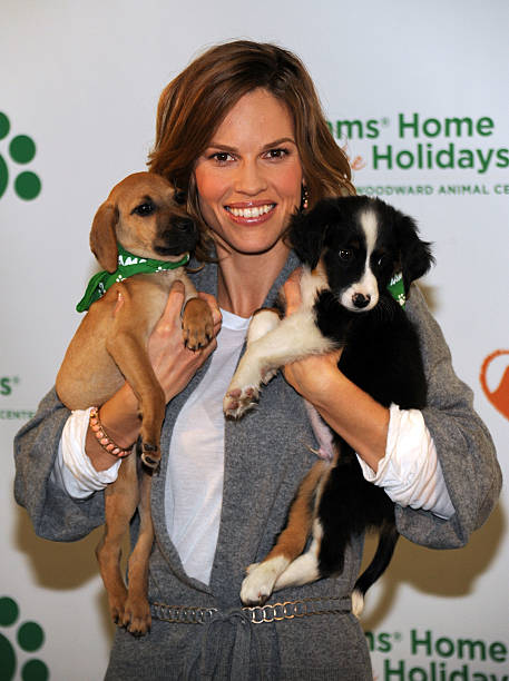 Gallery of Hilary Swank
