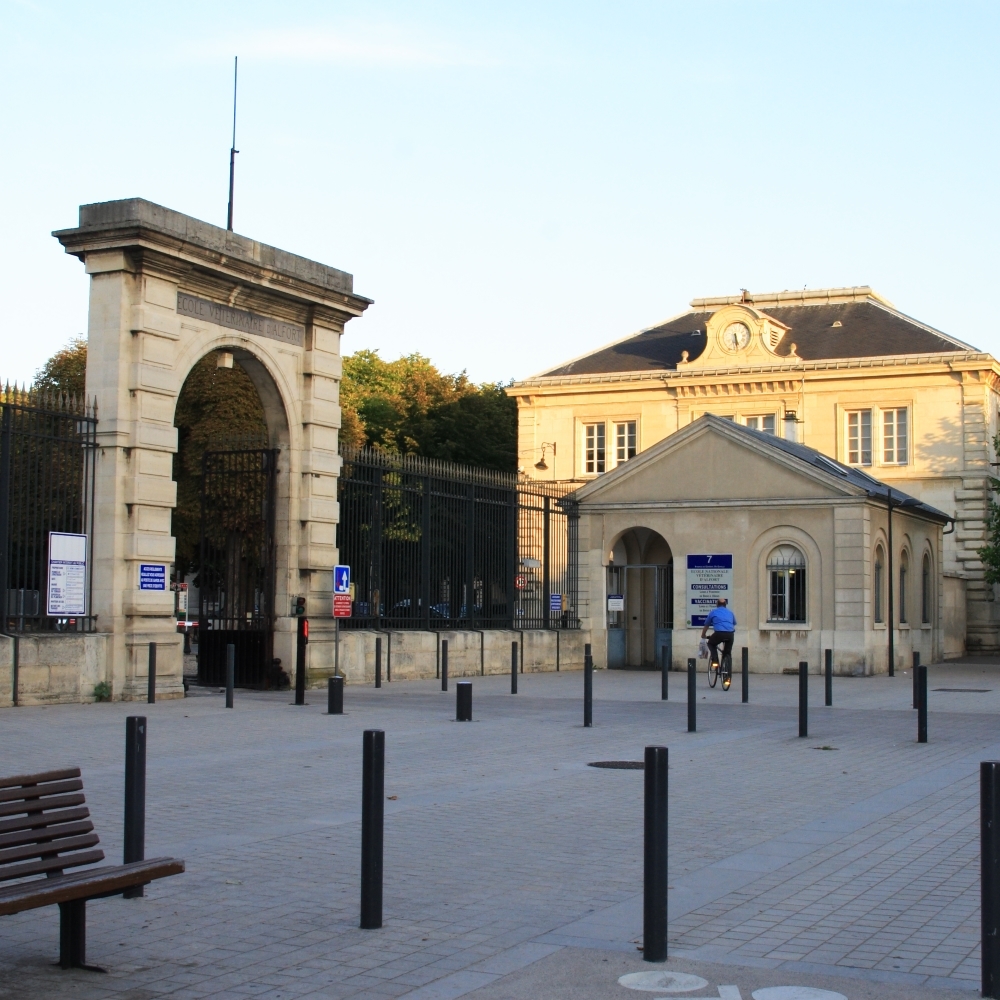 Gallery of Auguste Chauveau